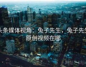 头条媒体视角：兔子先生，兔子先生原创视频在哪