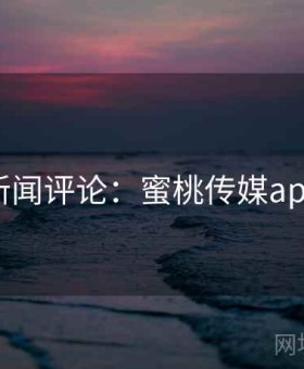 新闻评论：蜜桃传媒app