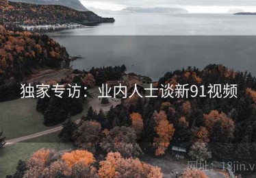 独家专访：业内人士谈新91视频