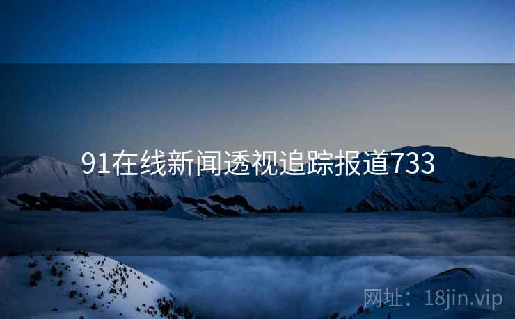 91在线新闻透视追踪报道733