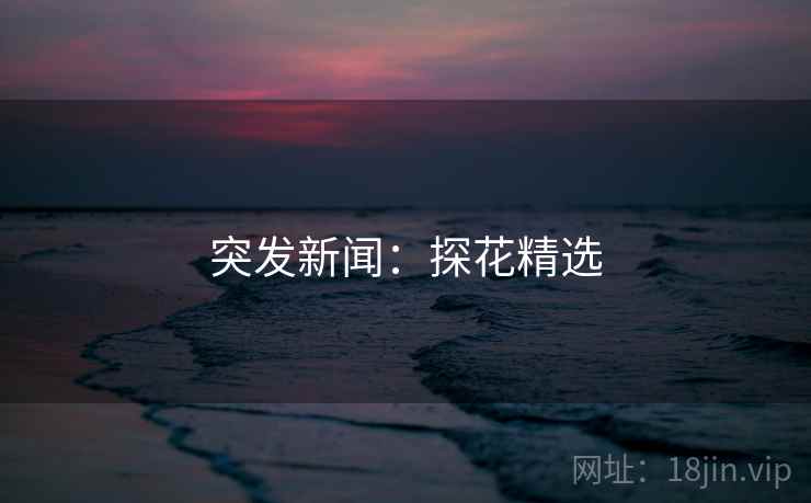突发新闻：探花精选