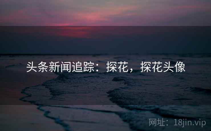 头条新闻追踪：探花，探花头像