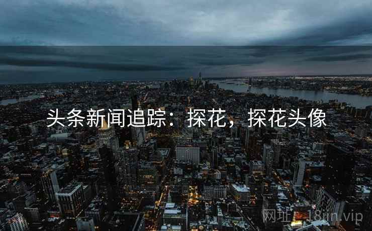 头条新闻追踪：探花，探花头像