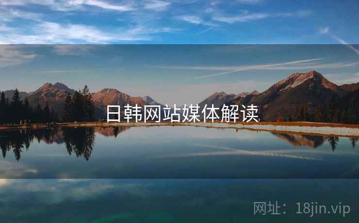 日韩网站媒体解读