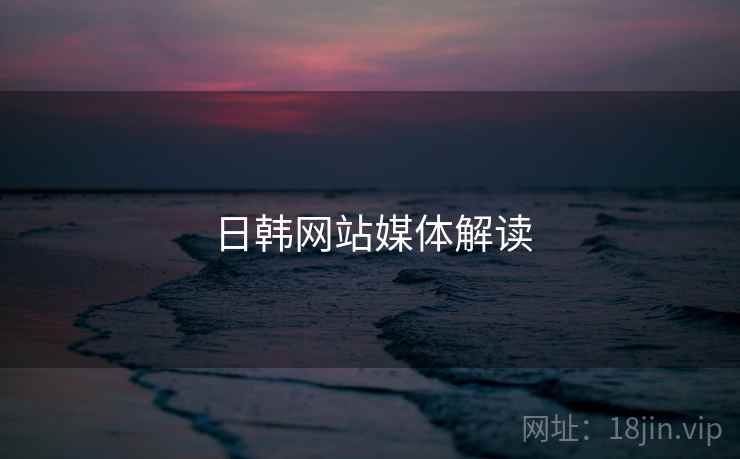 日韩网站媒体解读