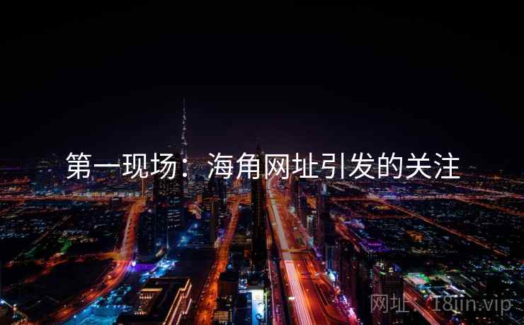 第一现场：海角网址引发的关注