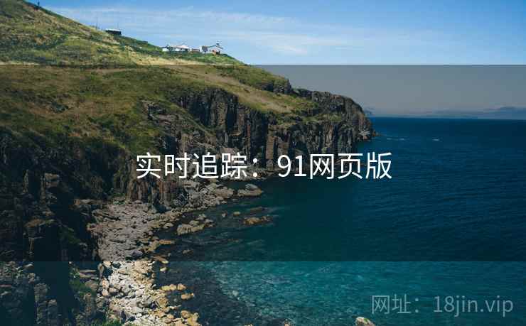 实时追踪：91网页版