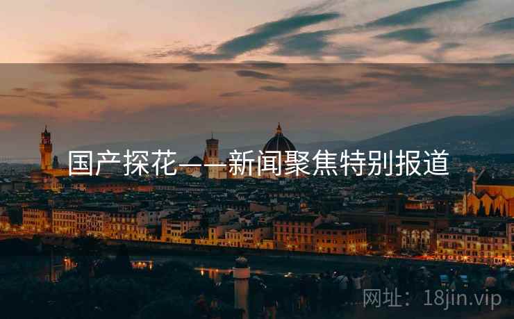 国产探花——新闻聚焦特别报道