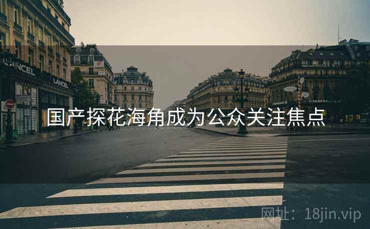 国产探花海角成为公众关注焦点