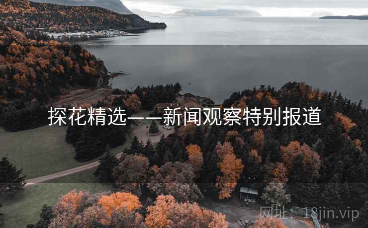 探花精选——新闻观察特别报道