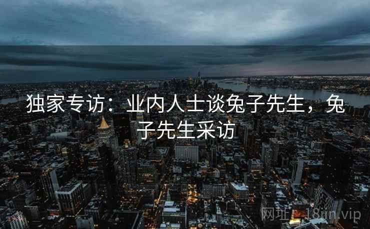 独家专访：业内人士谈兔子先生，兔子先生采访