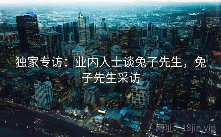 独家专访：业内人士谈兔子先生，兔子先生采访