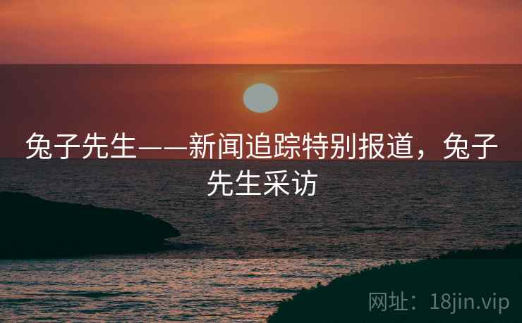 兔子先生——新闻追踪特别报道，兔子先生采访