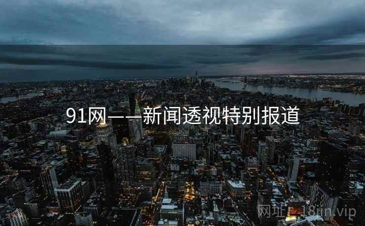 91网——新闻透视特别报道