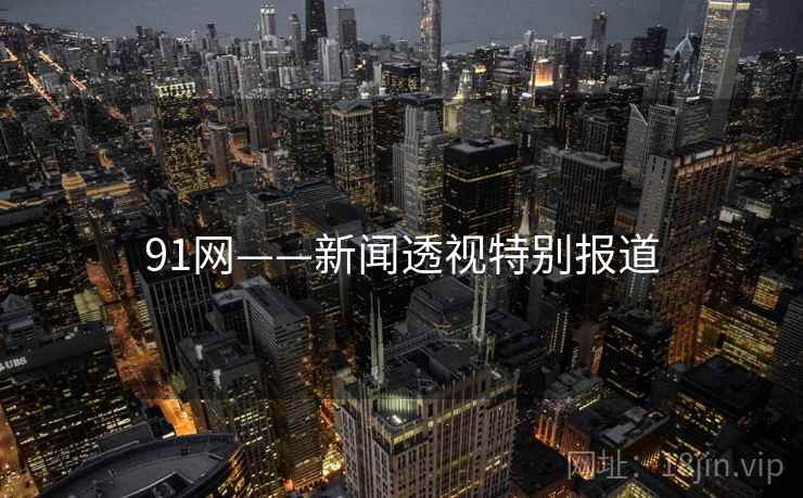 91网——新闻透视特别报道