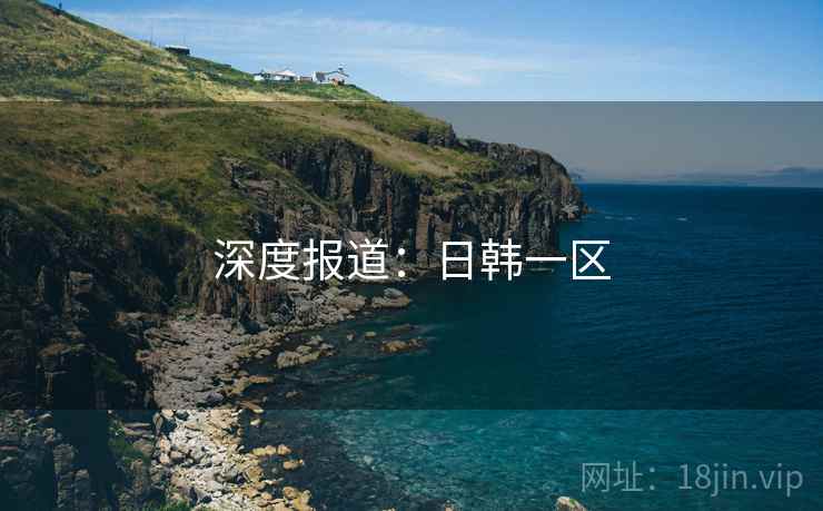 深度报道：日韩一区