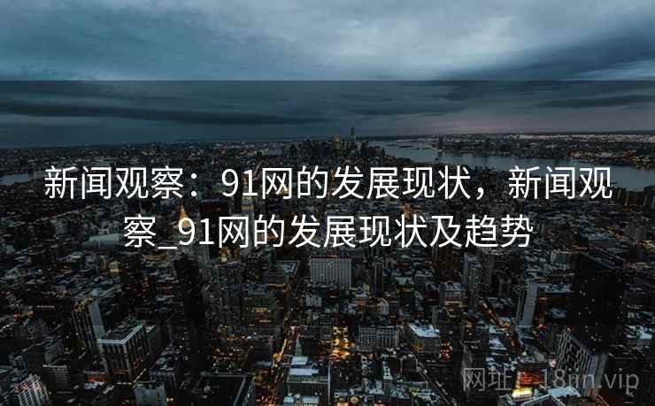 新闻观察：91网的发展现状，新闻观察_91网的发展现状及趋势