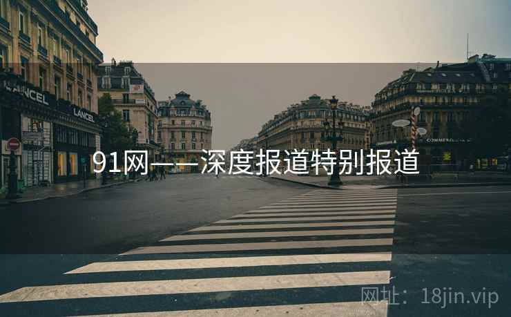 91网——深度报道特别报道