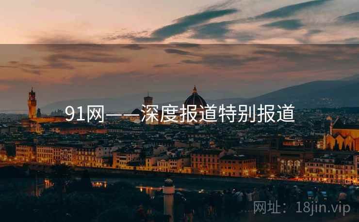 91网——深度报道特别报道