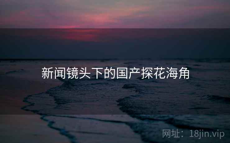 新闻镜头下的国产探花海角