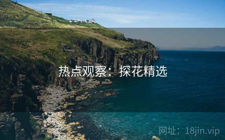 热点观察：探花精选