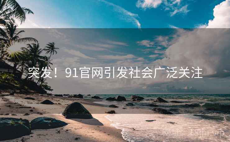突发！91官网引发社会广泛关注