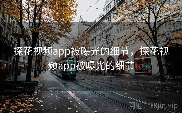 探花视频app被曝光的细节，探花视频app被曝光的细节