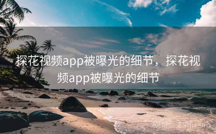 探花视频app被曝光的细节，探花视频app被曝光的细节