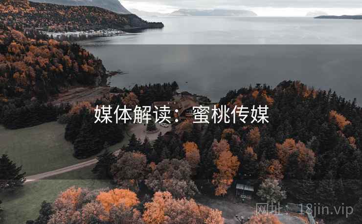 媒体解读：蜜桃传媒