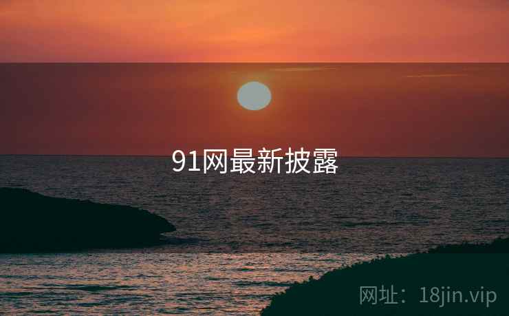 91网最新披露