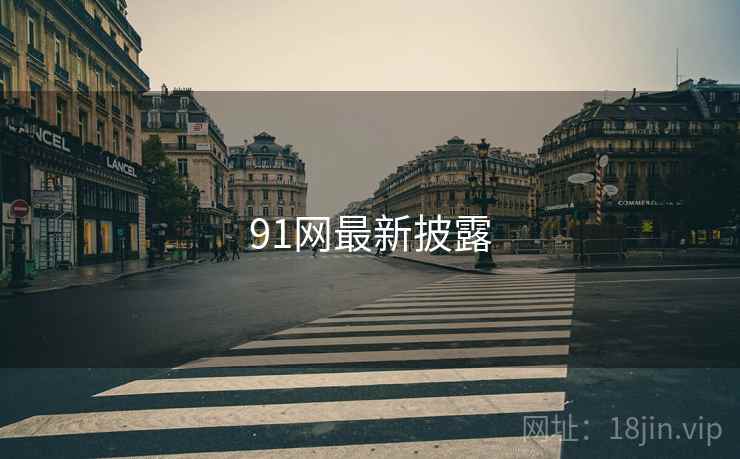 91网最新披露