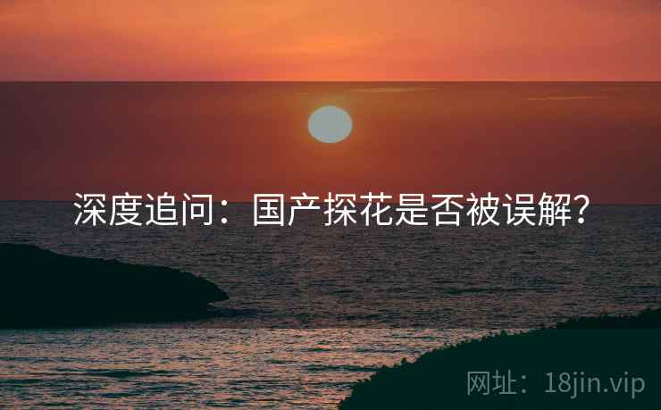 深度追问：国产探花是否被误解？