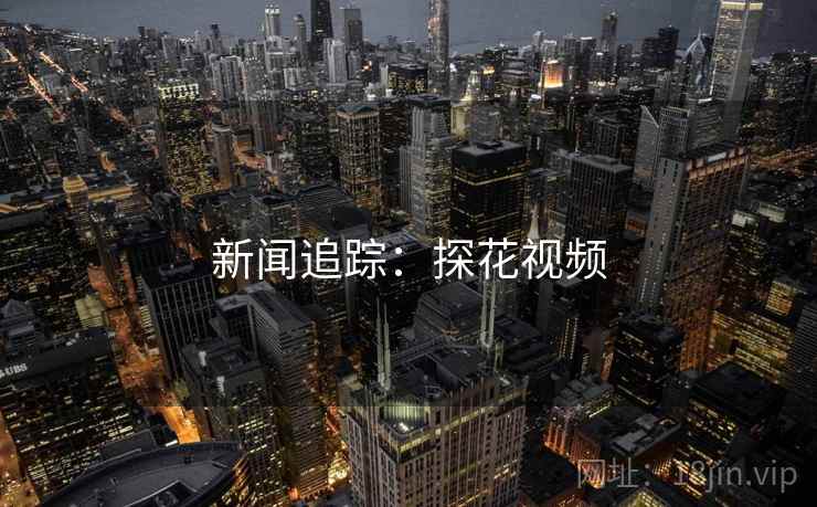 新闻追踪：探花视频