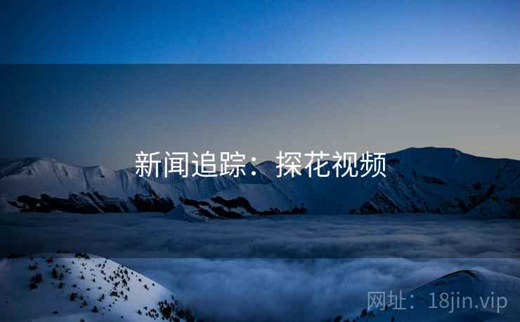 新闻追踪：探花视频