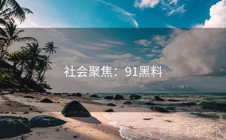 社会聚焦：91黑料