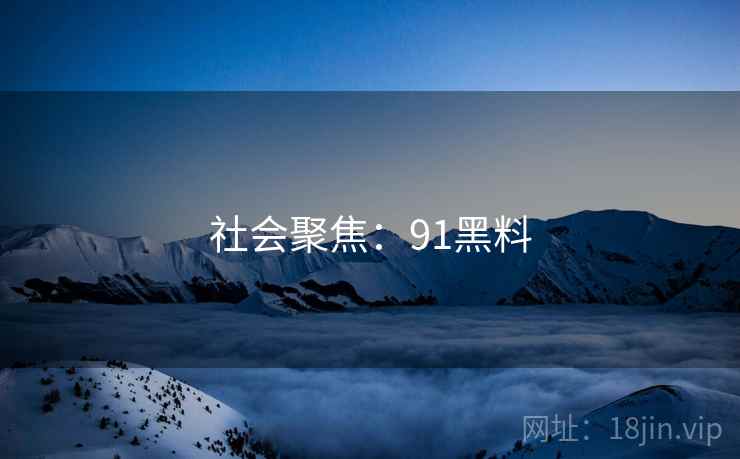 社会聚焦：91黑料