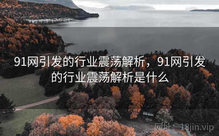 91网引发的行业震荡解析,91网引发的行业震荡解析是什么 91网引发的行业震荡解析,91网引发的行业震荡解析是什么